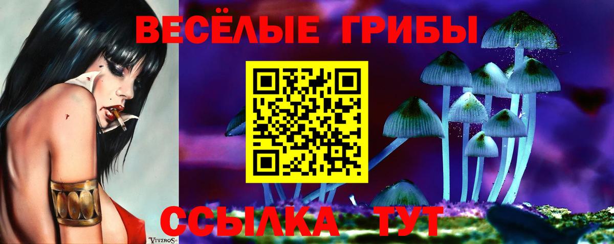 Псилоцибиновые грибы Cubensis Барнаул